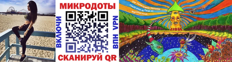 сколько стоит Липки Псилоцибиновые грибы Psilocybe
